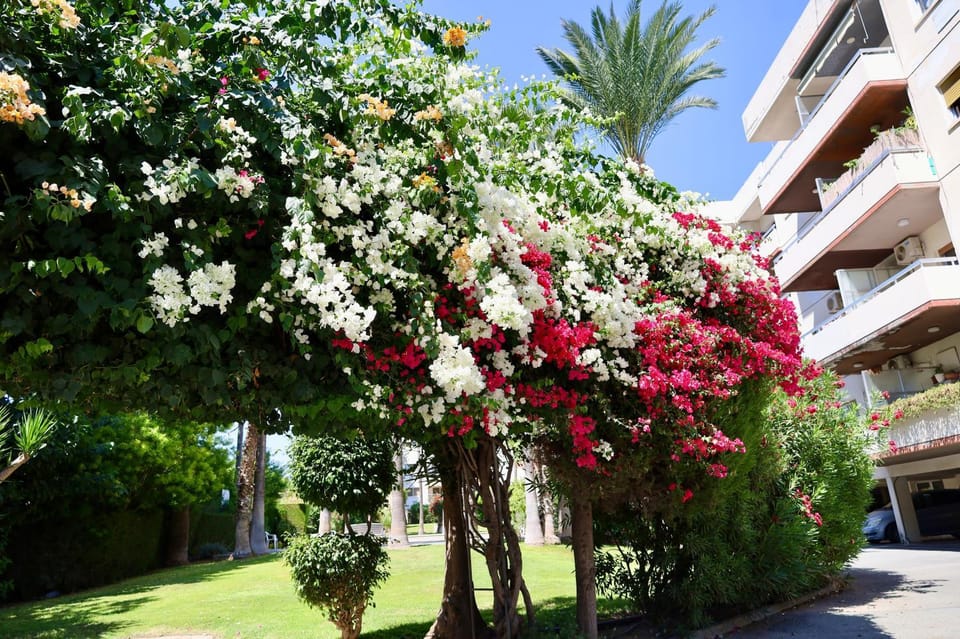 Beach Front Apartment Apartment in Limassol District