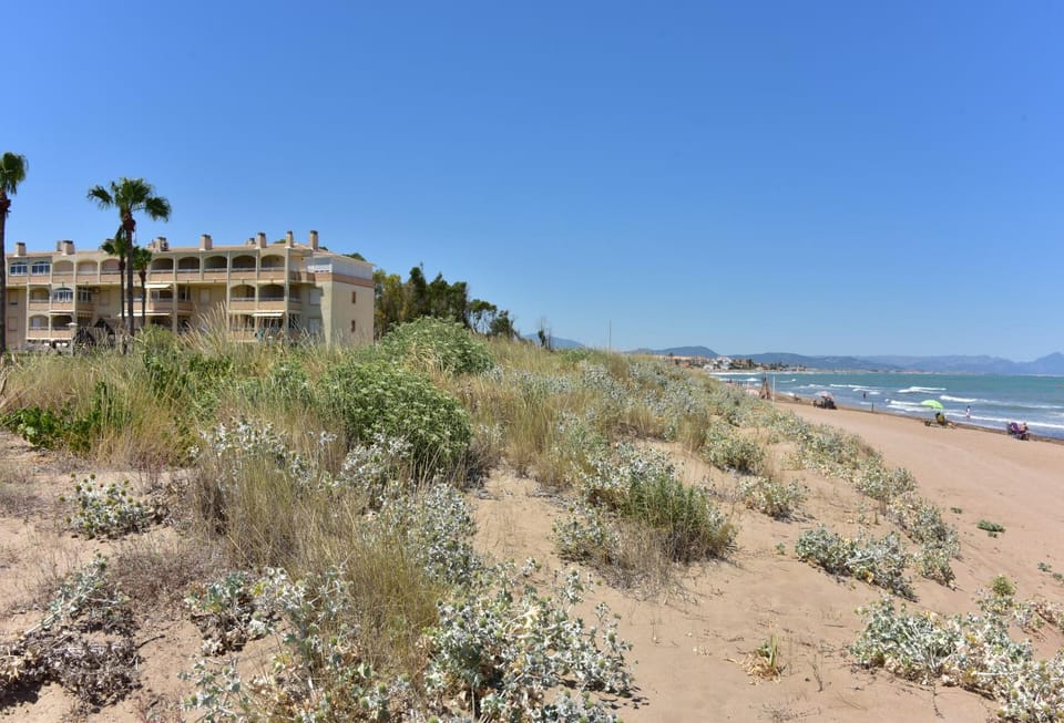 Primera linea de playa en planta baja Apartment in Marina Alta