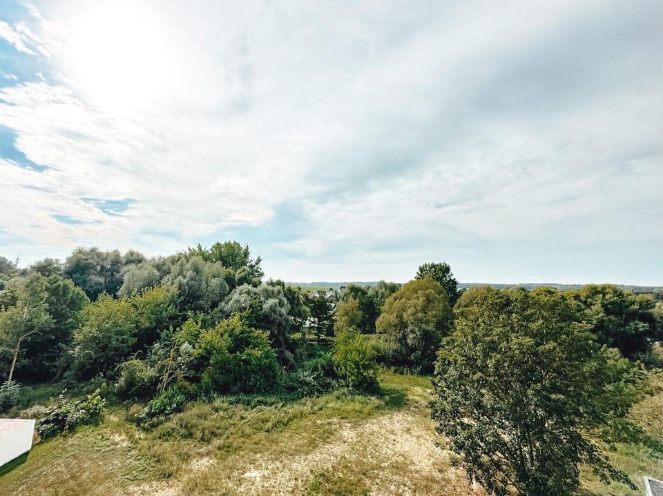Natural landscape