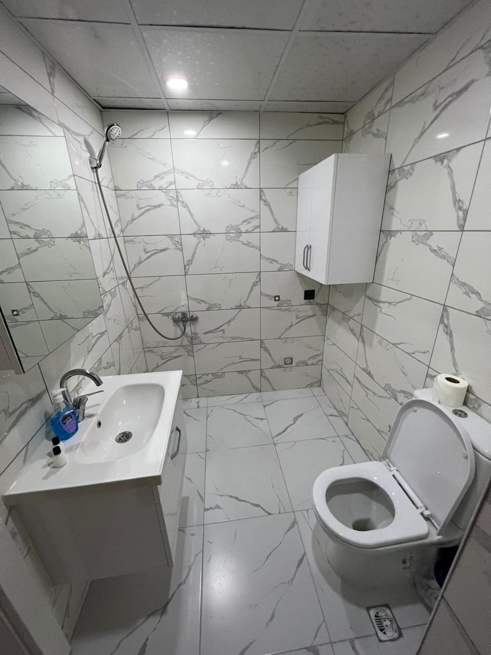 Shower, Toilet, Bathroom