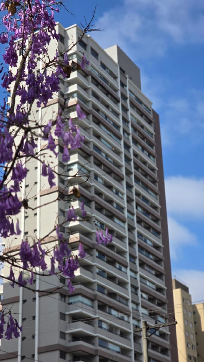 Dani Studio Moema Grand Vitrali Apartment in Sao Paulo City