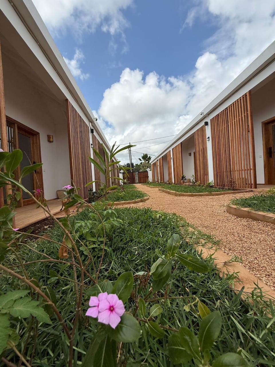 Garden view