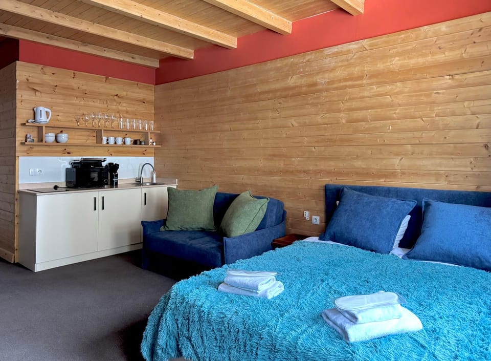 Bed, Kitchen or kitchenette, Living room, Bedroom, microwave, stove, toaster, kitchen
