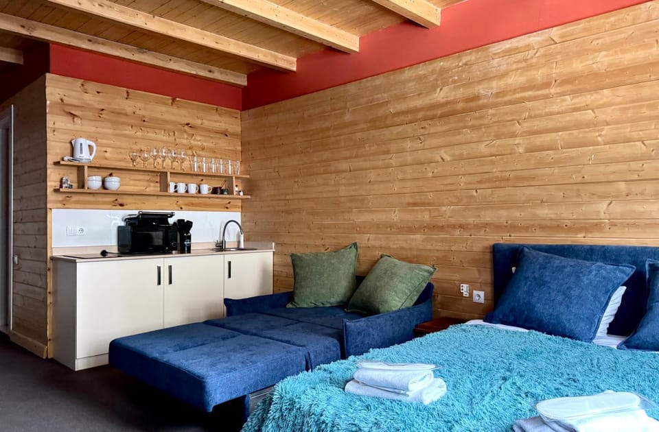 Bed, Kitchen or kitchenette, Living room, Bedroom, microwave, stove, toaster, kitchen