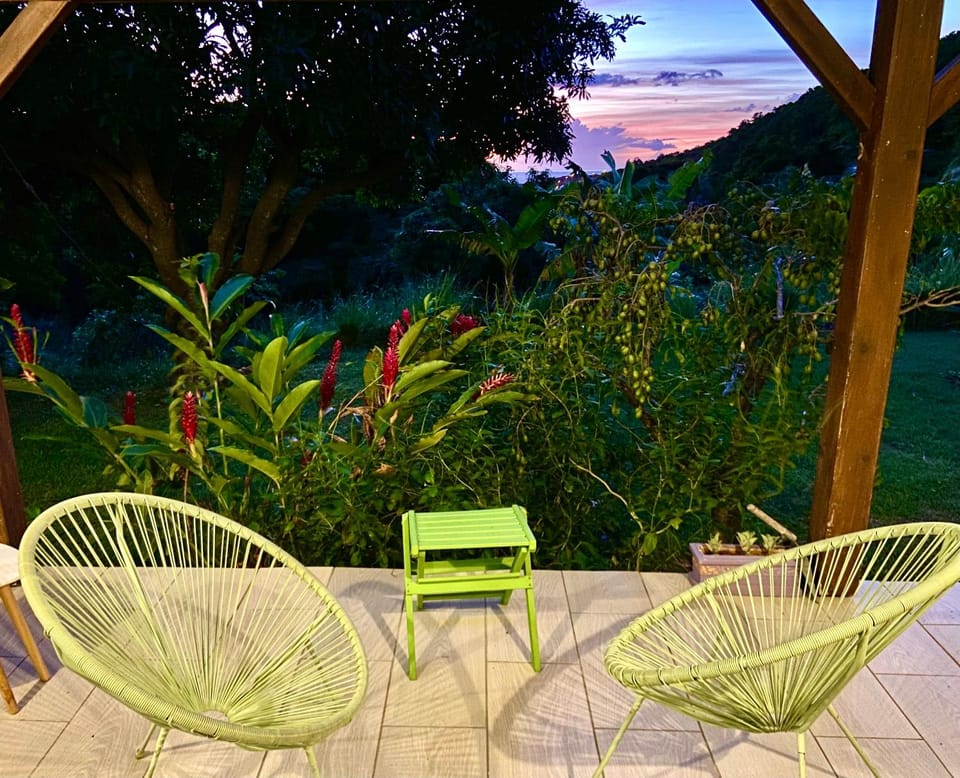 Patio, Garden view, Sunset