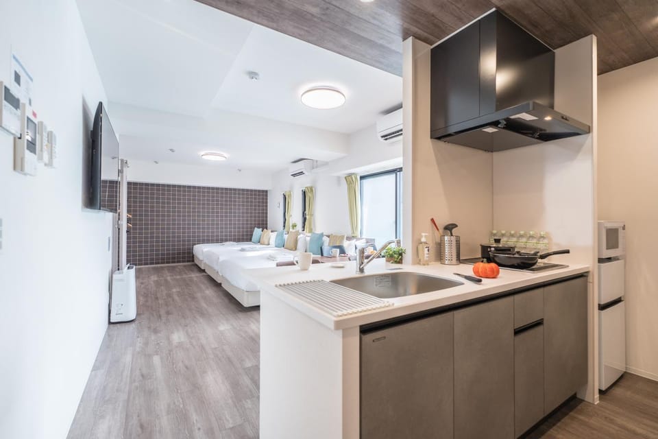 Bed, TV and multimedia, Kitchen or kitchenette, Photo of the whole room, Bedroom, microwave, stove, kitchen