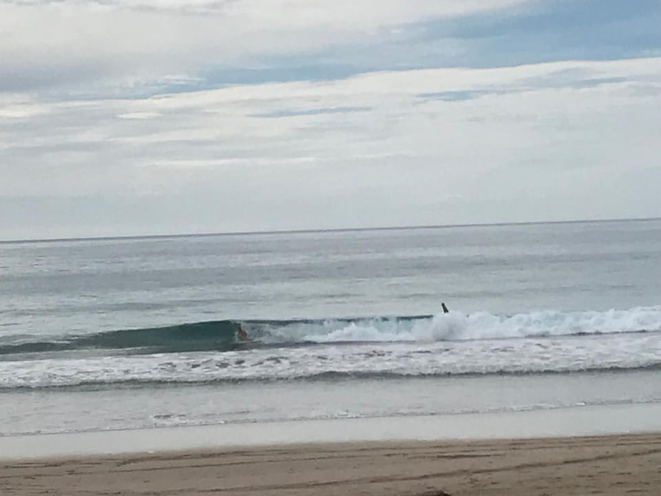 Gisborne, 3 Bedroom House, Beachfront, Wainui Beach House in Gisborne