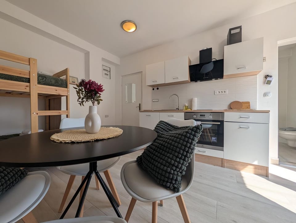 TV and multimedia, Kitchen or kitchenette, Living room, Seating area, Dining area, minibar, oven, pet friendly, stove