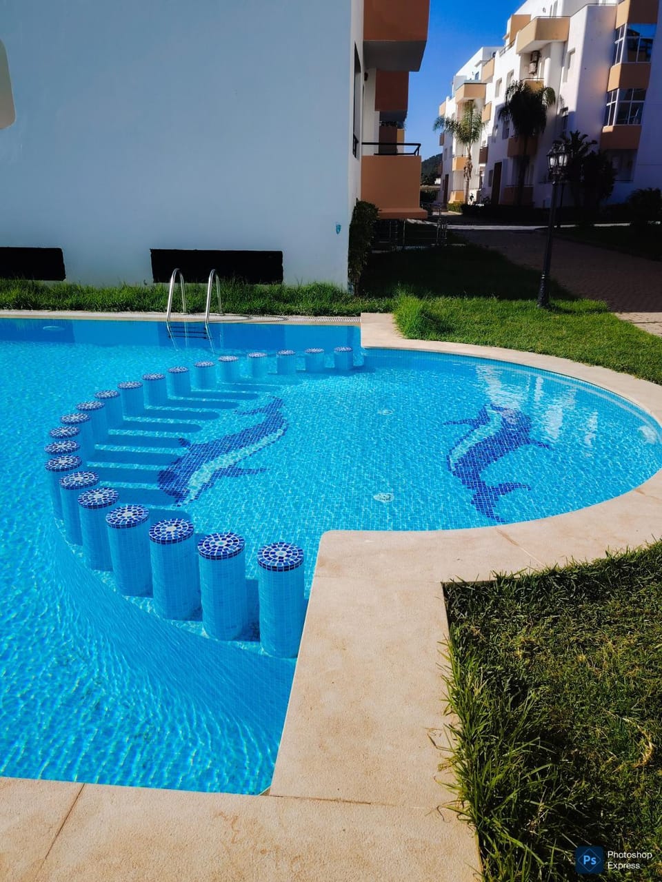 Garden, Garden view, Swimming pool