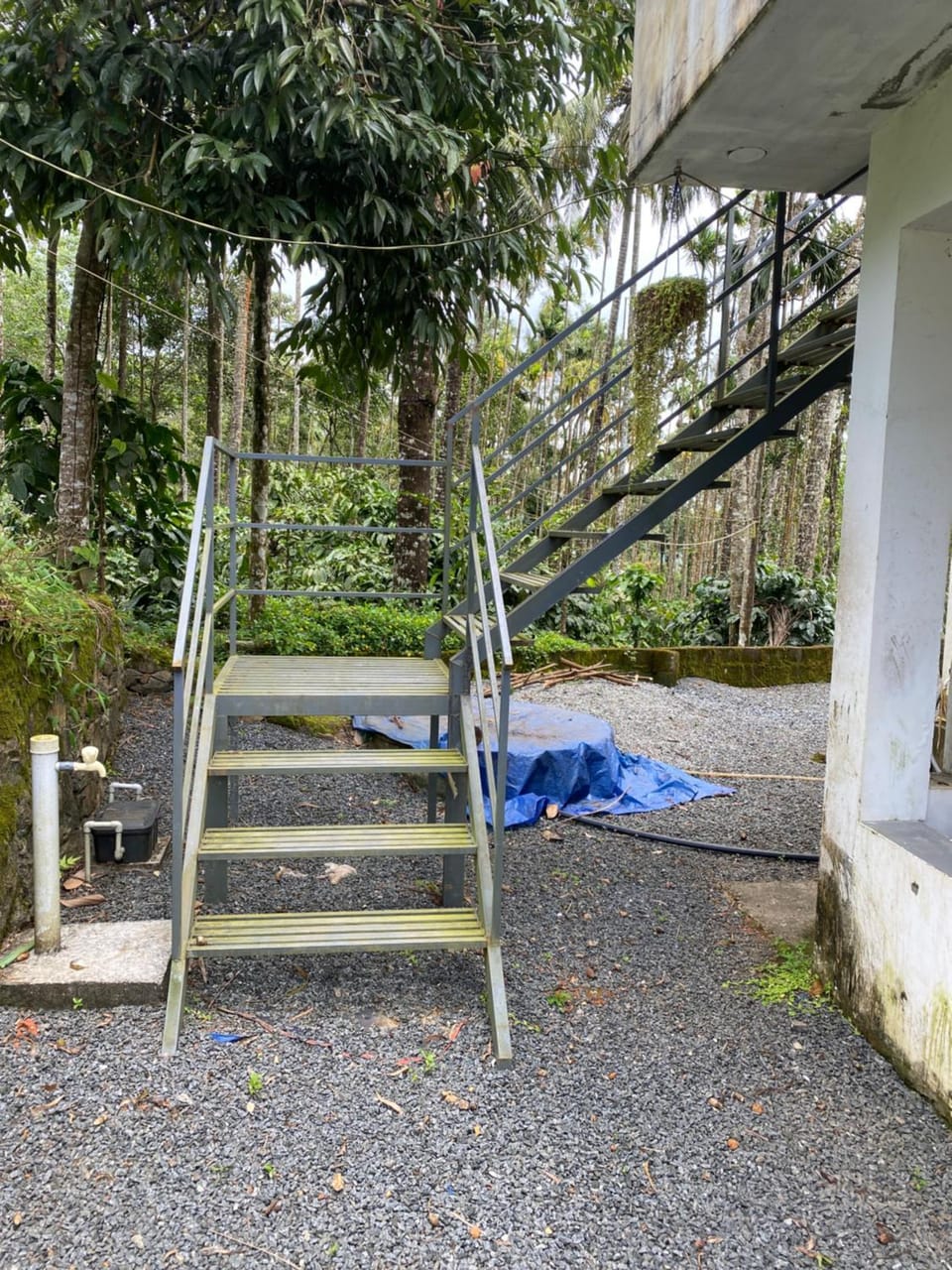Travango Settukunnu Villa in Kerala