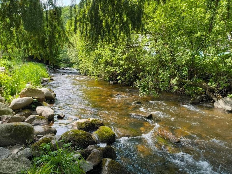 River view