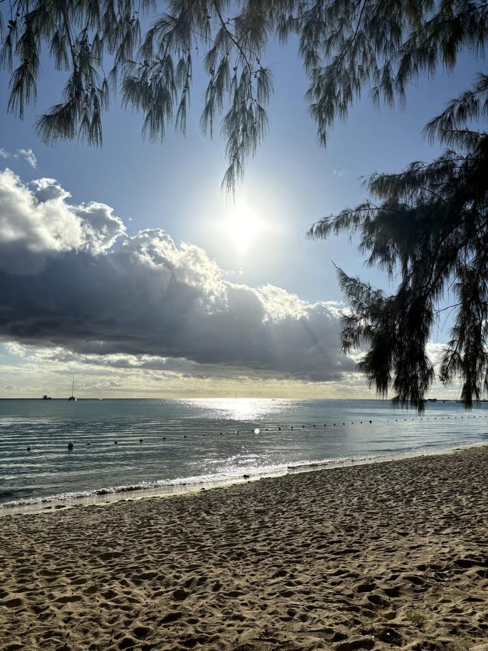 Beach, Sunset