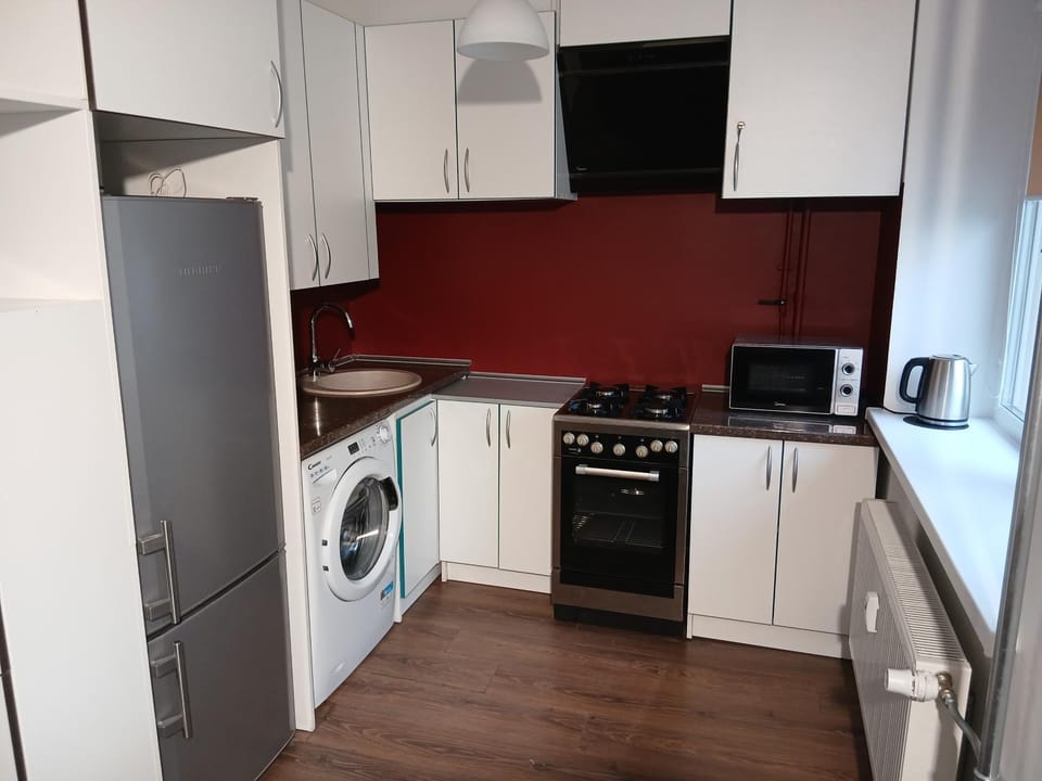 Alytus Studio 45 Apartment in Lithuania