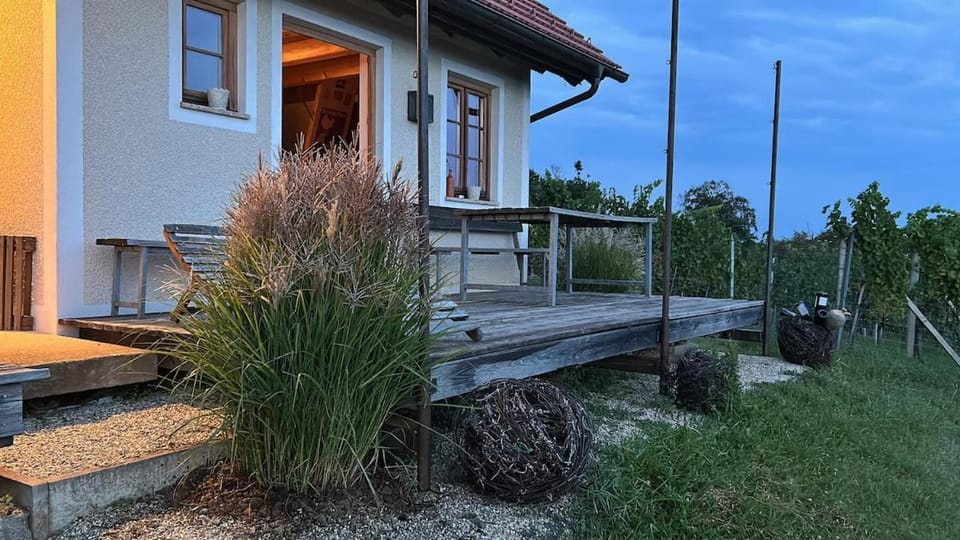 Property building, Garden view