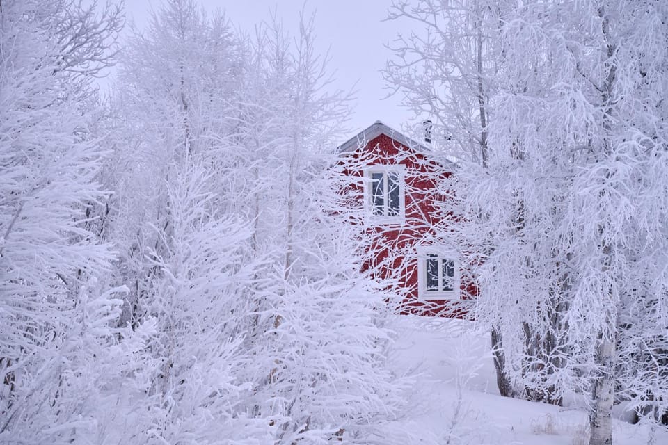 Property building, Day, Natural landscape, Winter