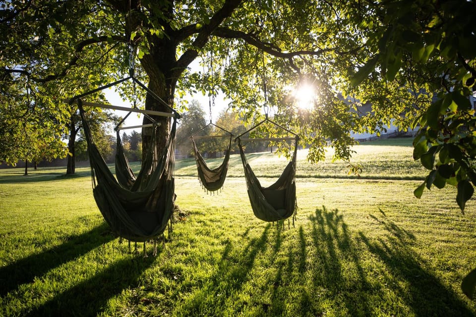 Natural landscape, Garden, Garden