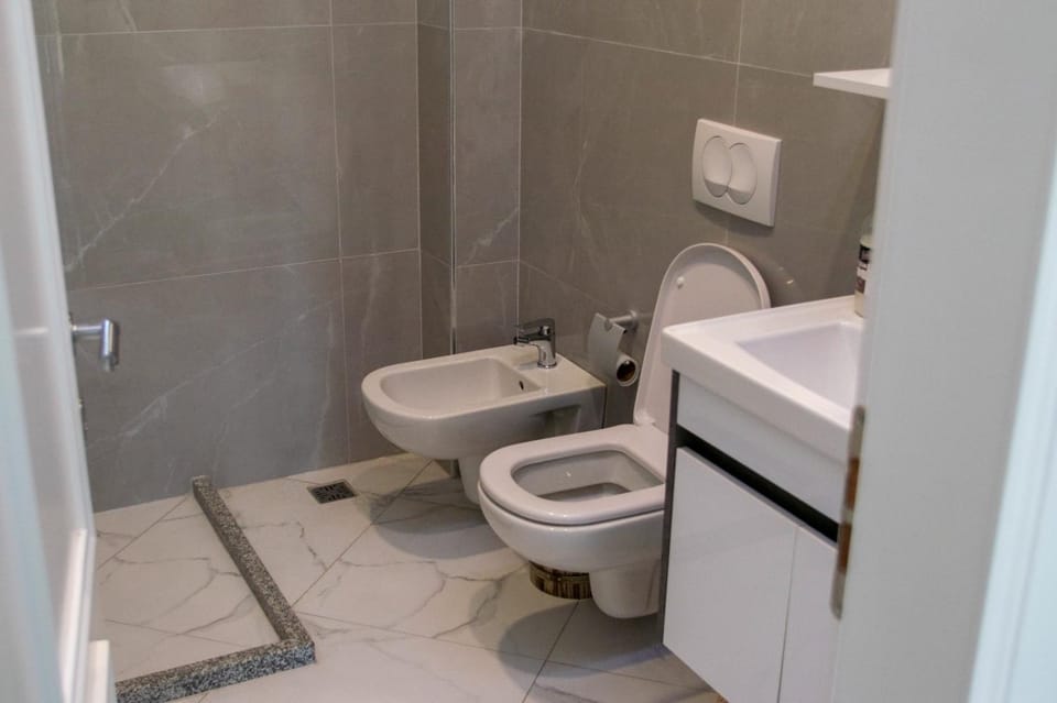 Shower, Toilet, Bathroom, bidet