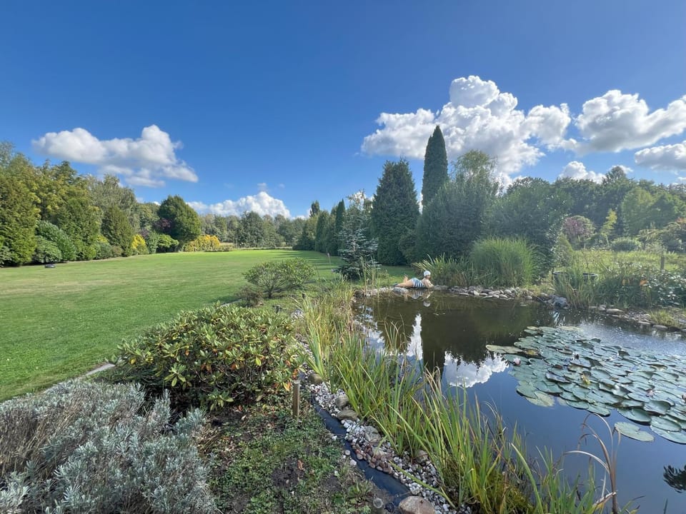 Natural landscape, Garden view
