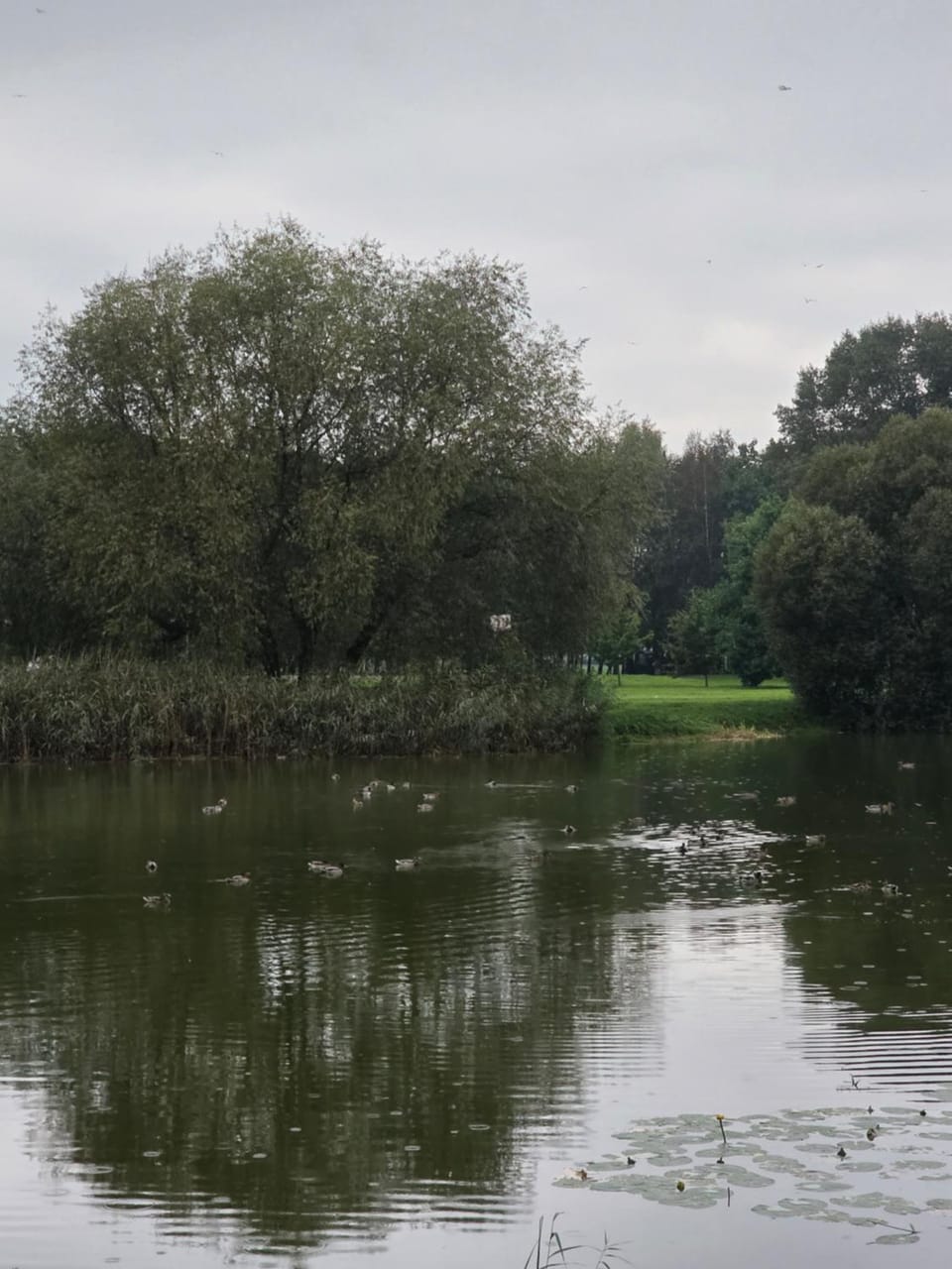 Natural landscape