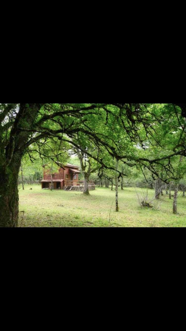 Cabane en bois House in Saint-Antonin-Noble-Val
