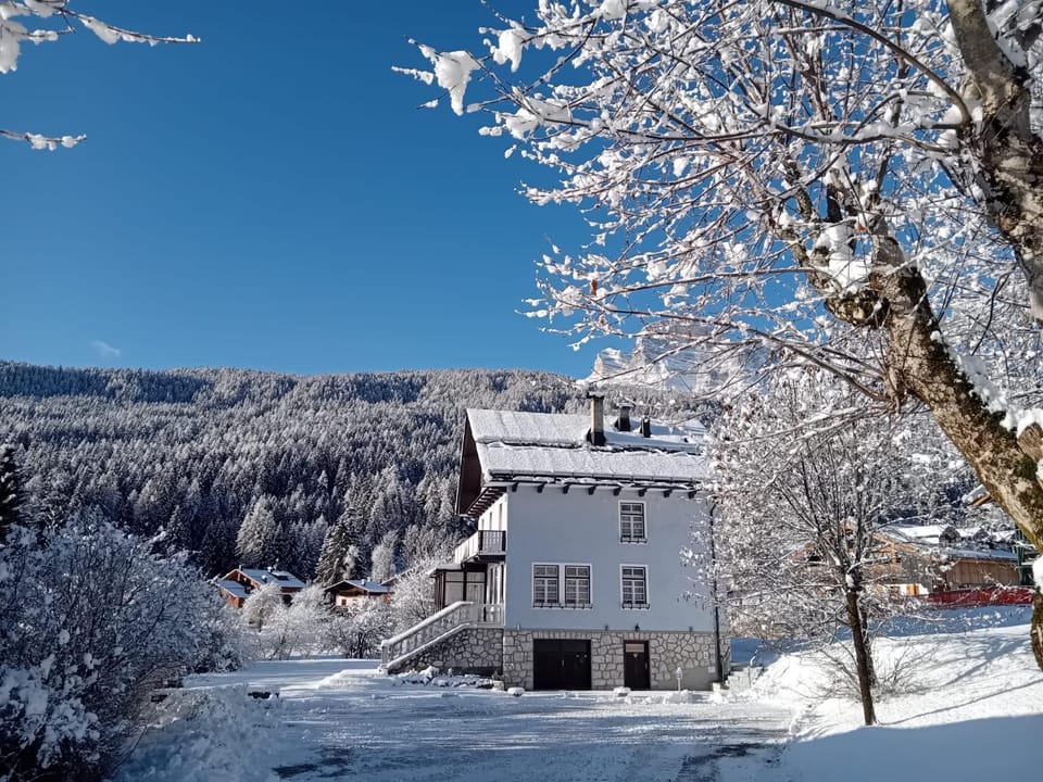 Property building, Winter