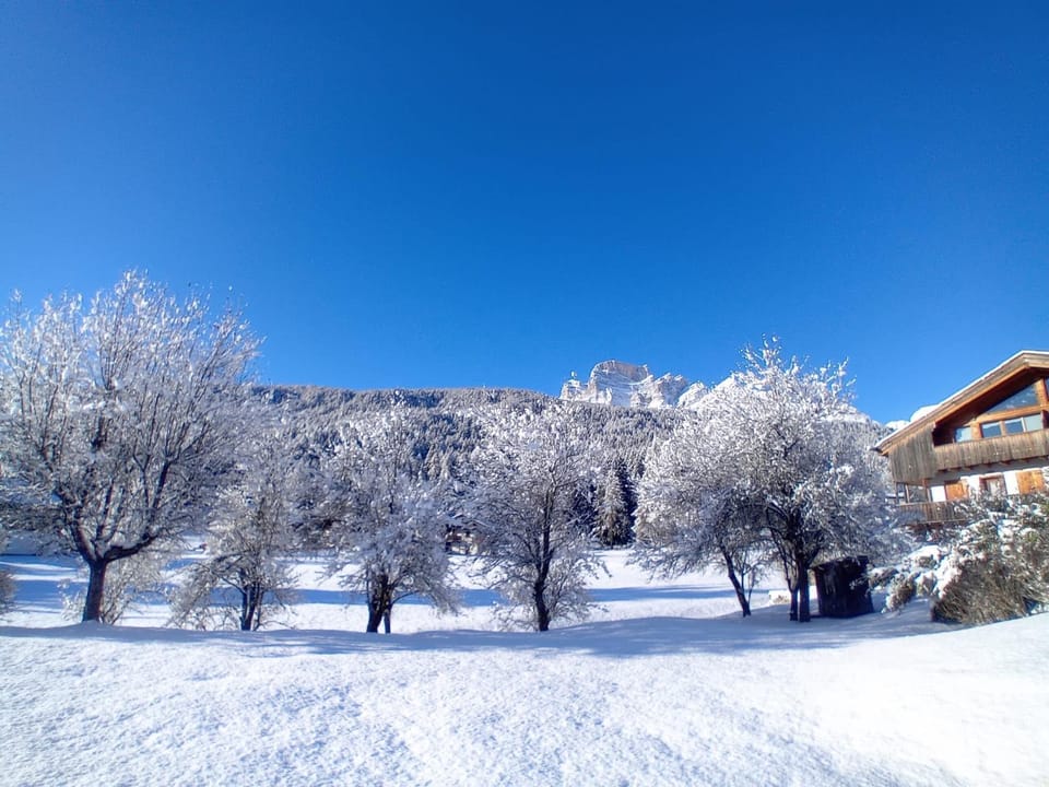 Winter, Garden