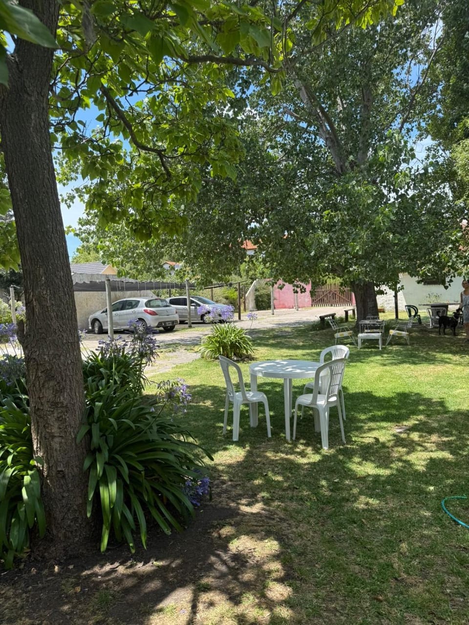 Garden, Garden view, Parking