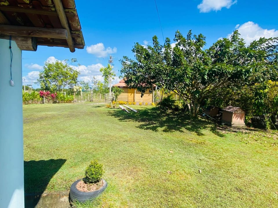Day, Natural landscape, Garden, Garden view