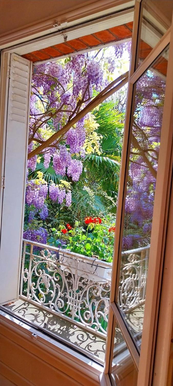 Garden view
