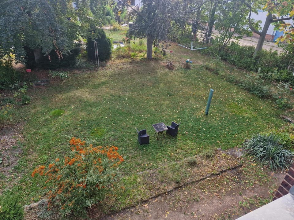 Garden, Garden view