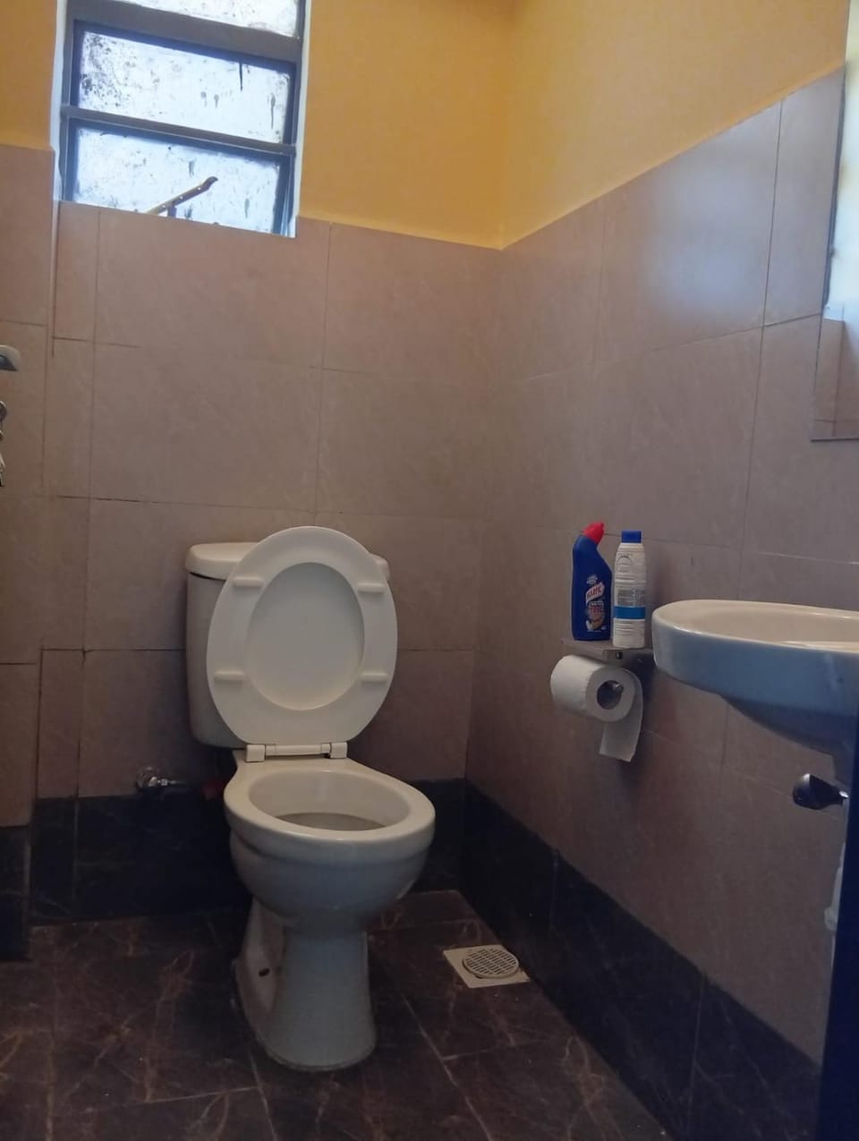 Toilet