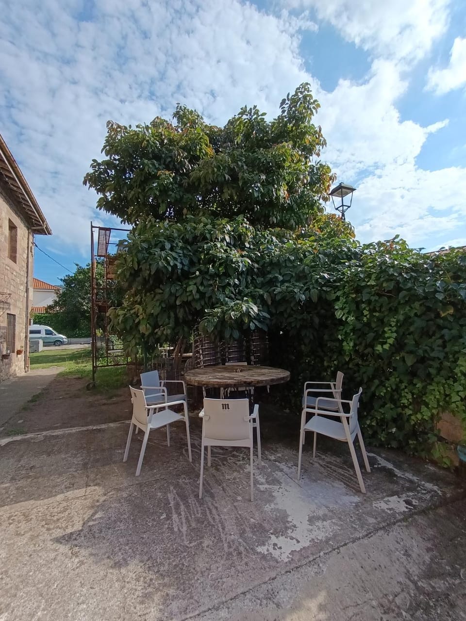 Patio, Day, Garden, Garden view
