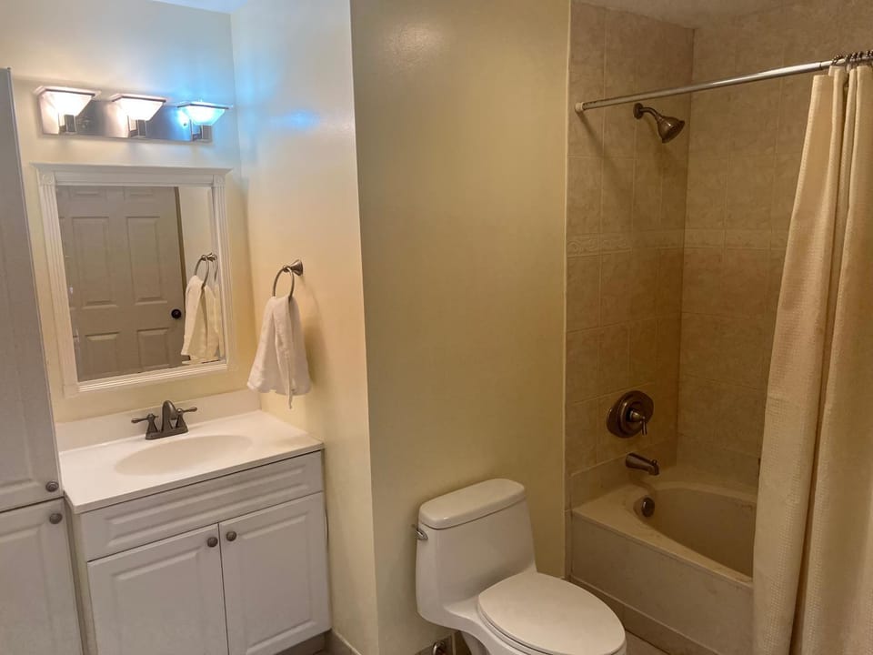 Toilet, Bathroom, Bath