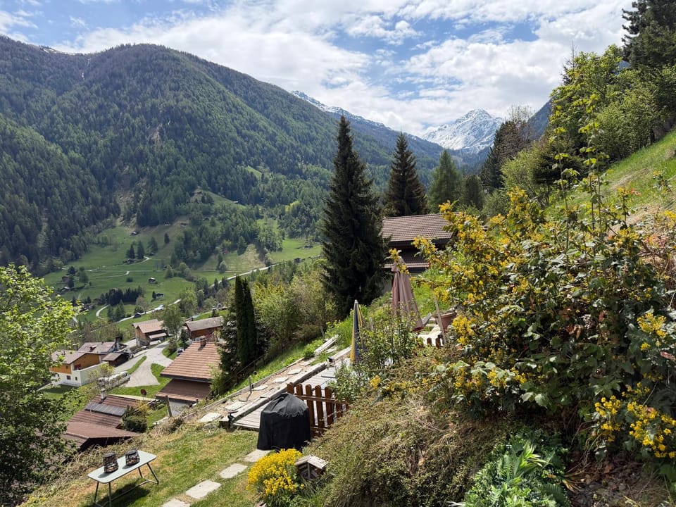 Chalet Opalpin Lodge & Spa, vue montagne et jacuzzi Chalet in Nendaz