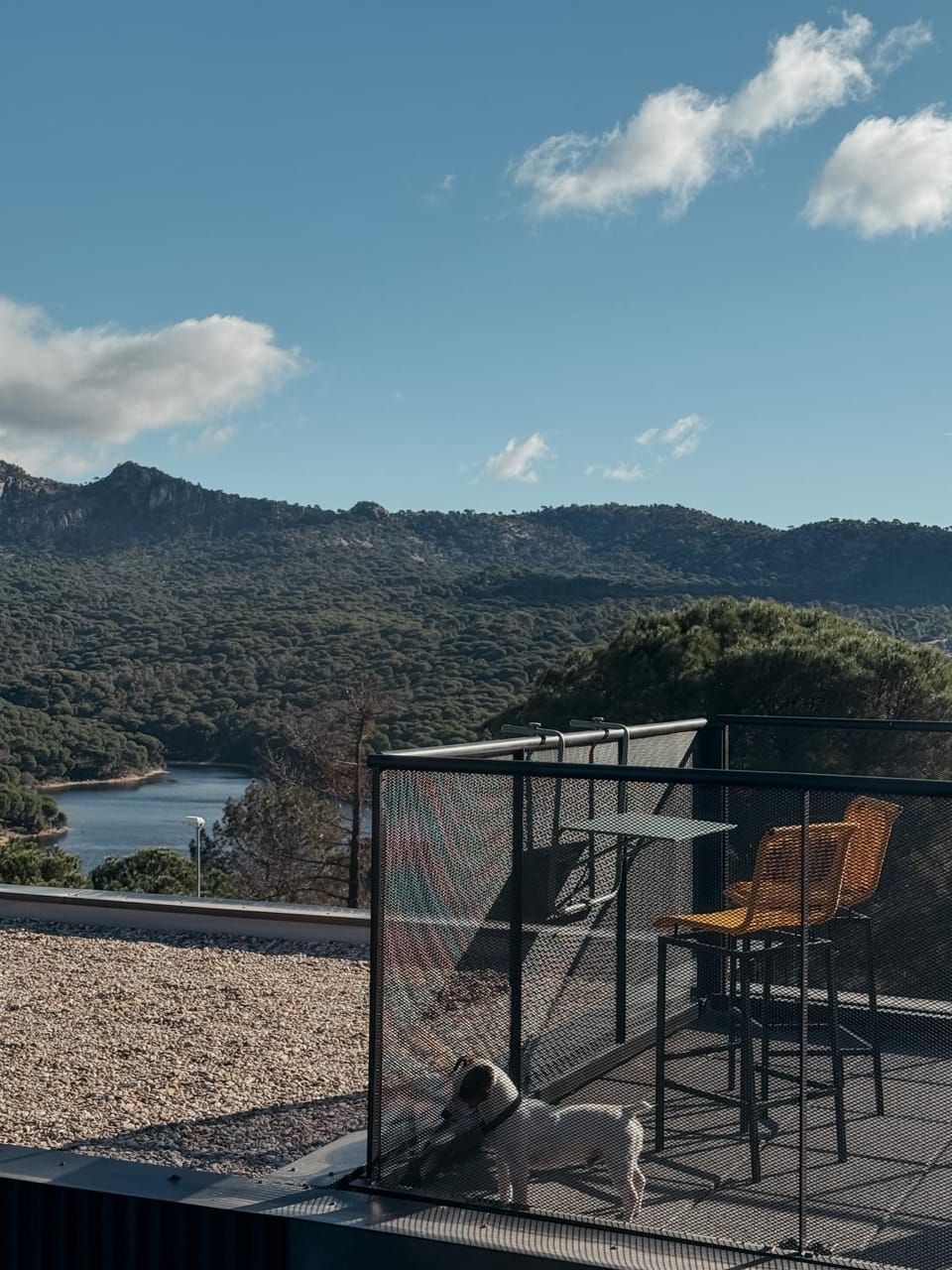 Lake view