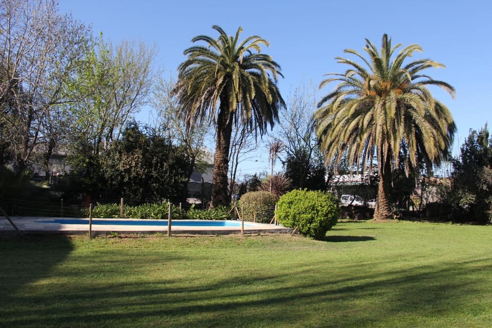Natural landscape, Garden, Garden view, Pool view