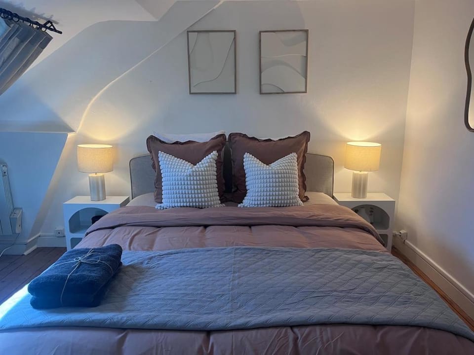 Comfort and Video Projector Close to Downtown Apartment in Tours