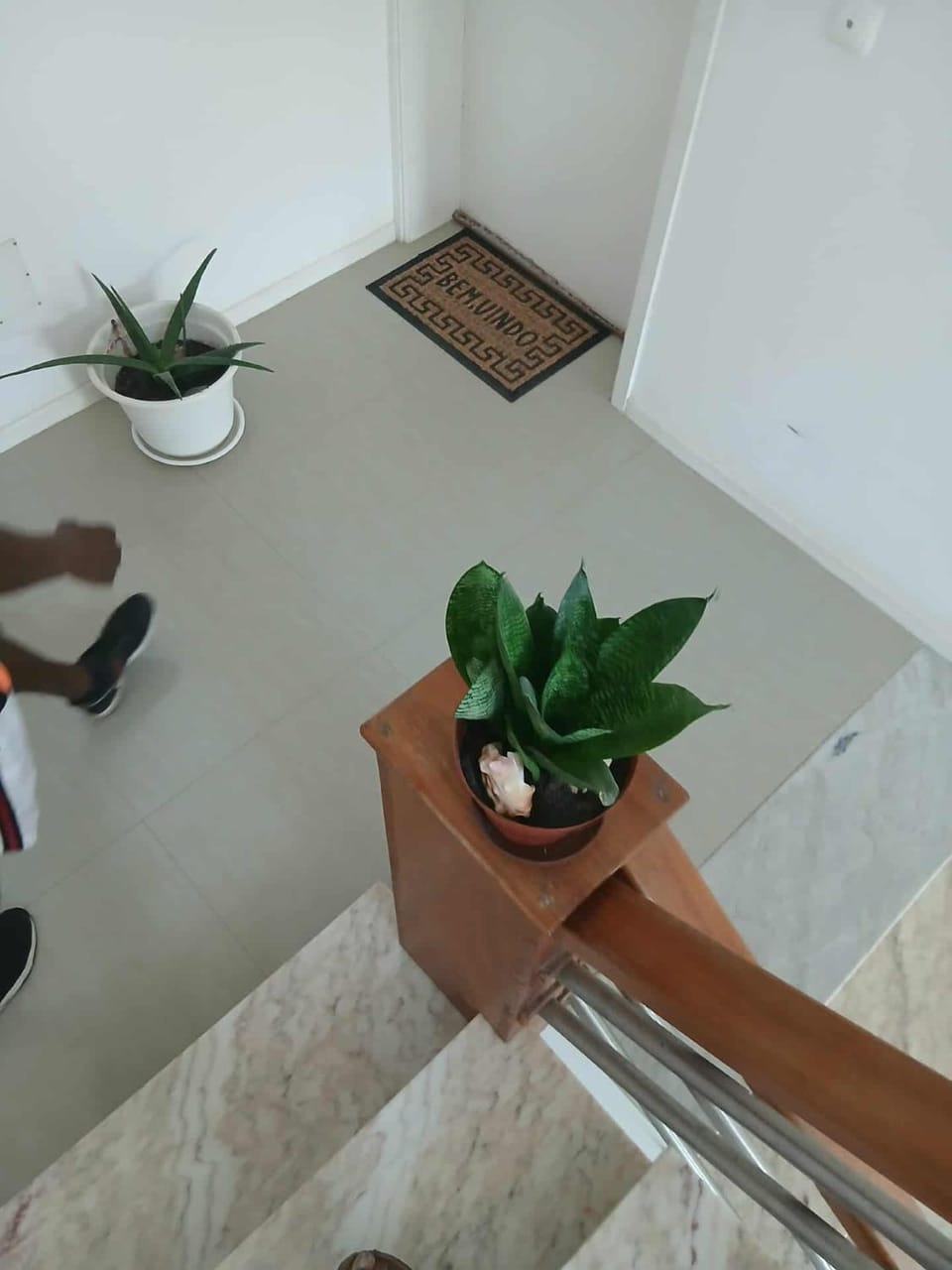 MonteCara Apartamento Apartment in Cape Verde