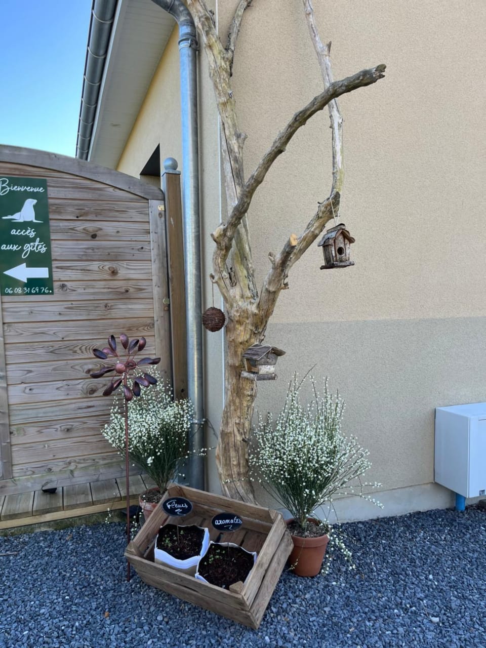 Garden view