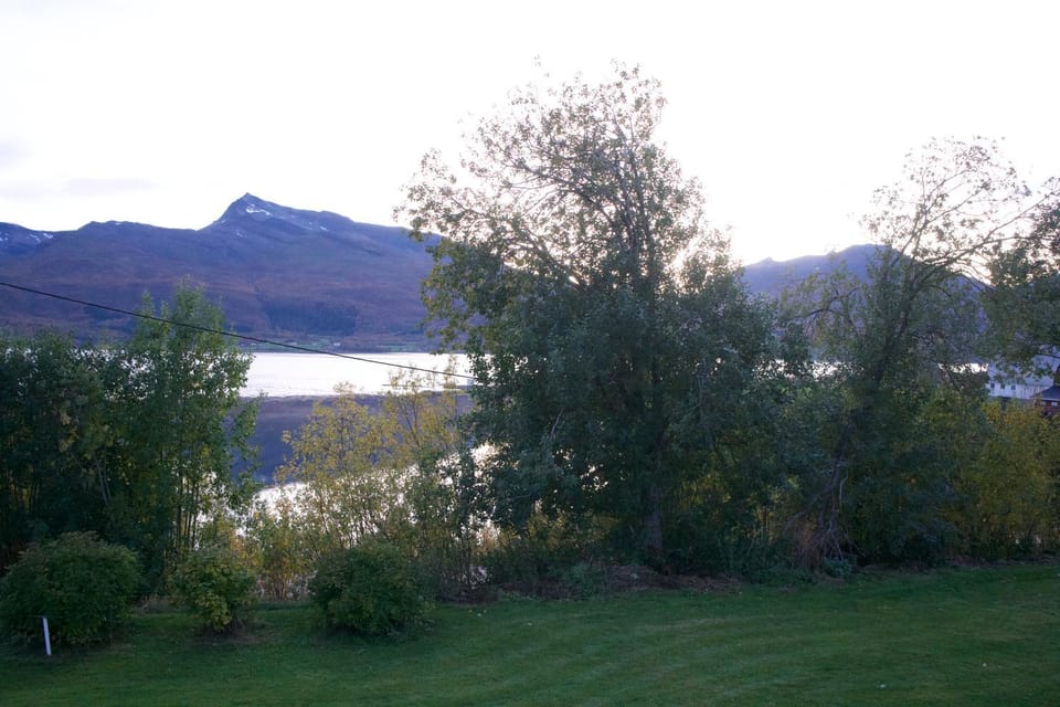 Natural landscape, Garden