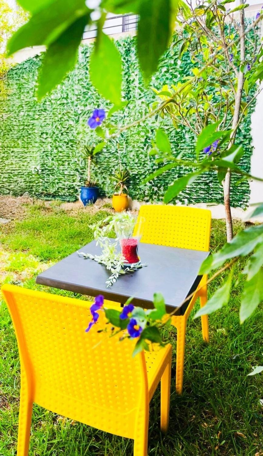 Garden view