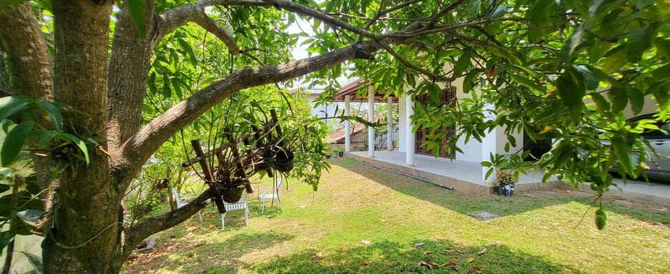 Garden, Garden, Garden view