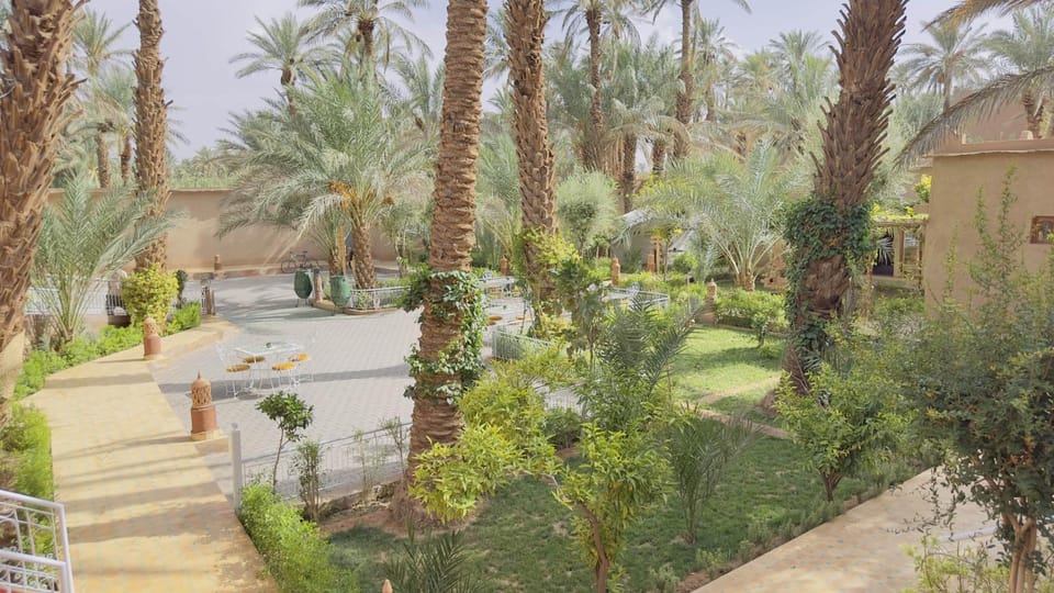 Spring, Day, Natural landscape, Garden, Garden view