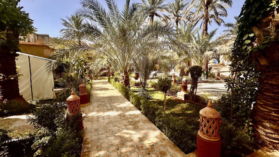 Spring, Day, Neighbourhood, Natural landscape, Garden, Garden view, Street view