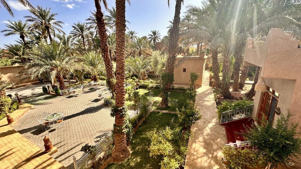 Spring, Day, Natural landscape, Garden, Garden view