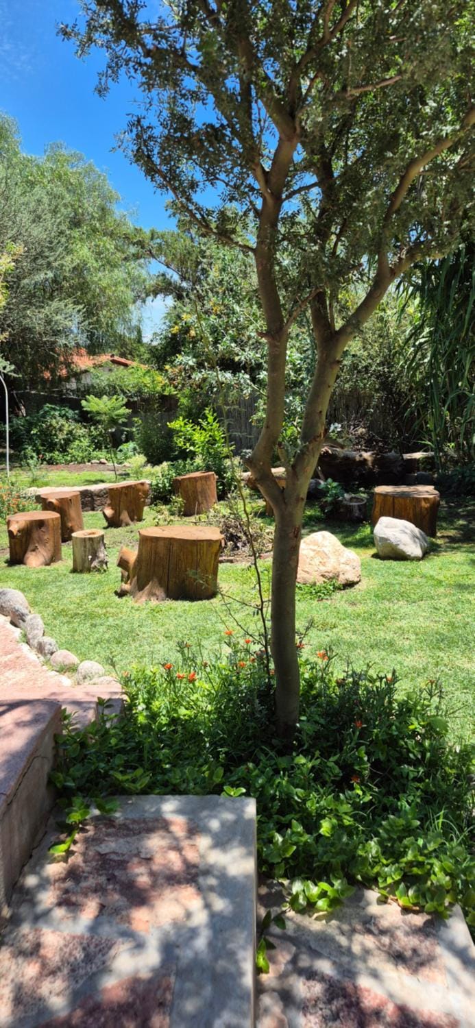 Garden view