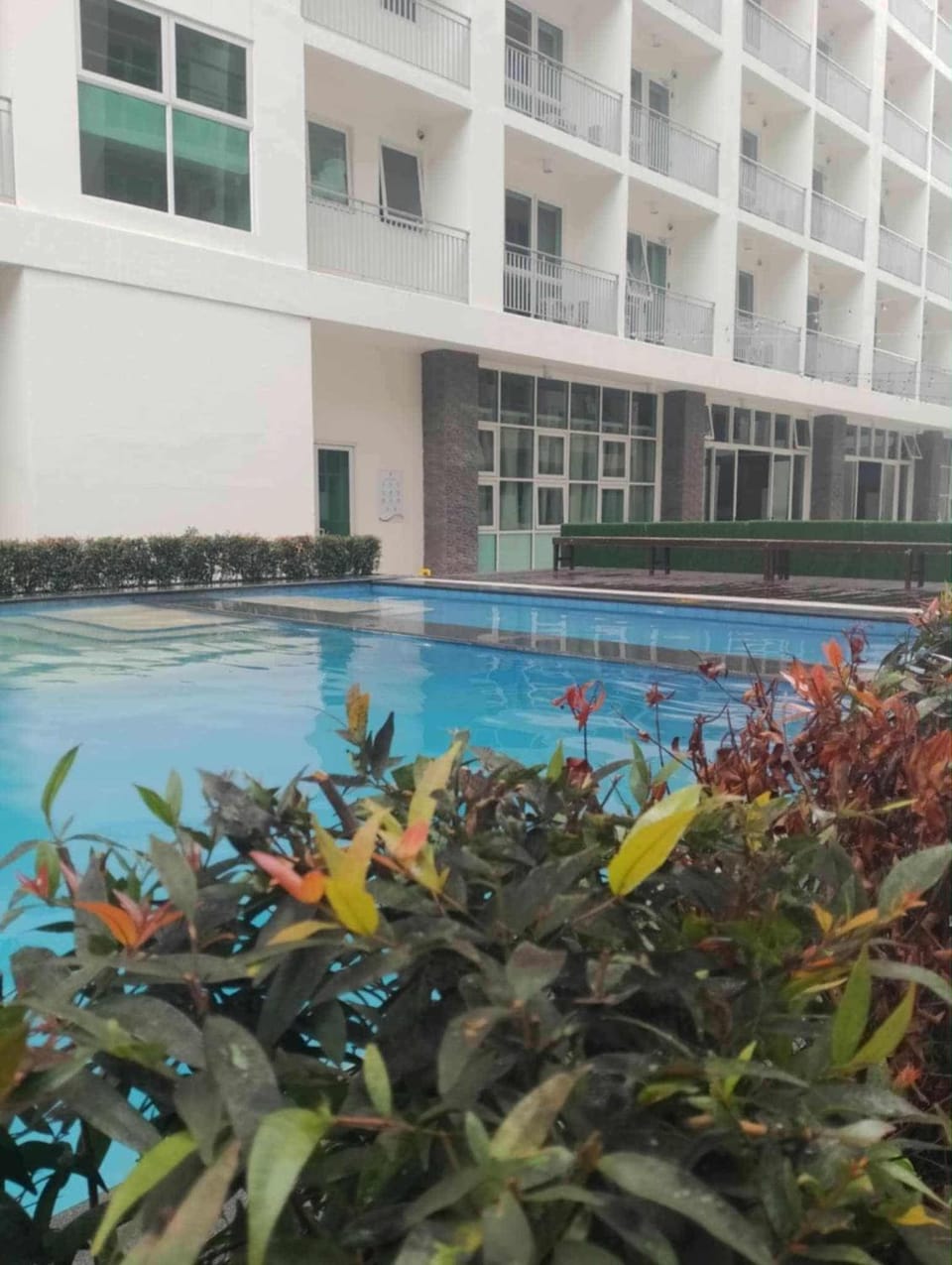Swimming pool, Swimming pool