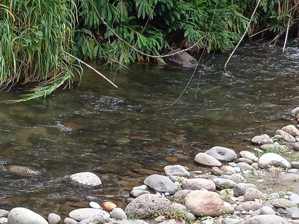River view