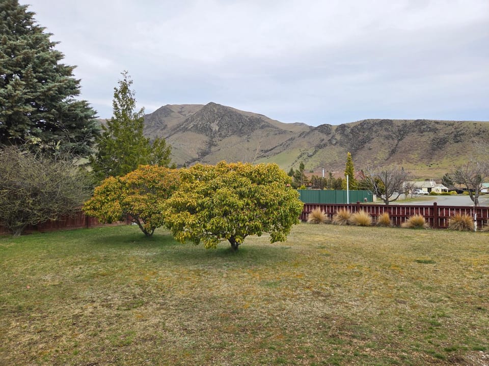Omarama Crib Spotless Scenic Base for Families House in Canterbury