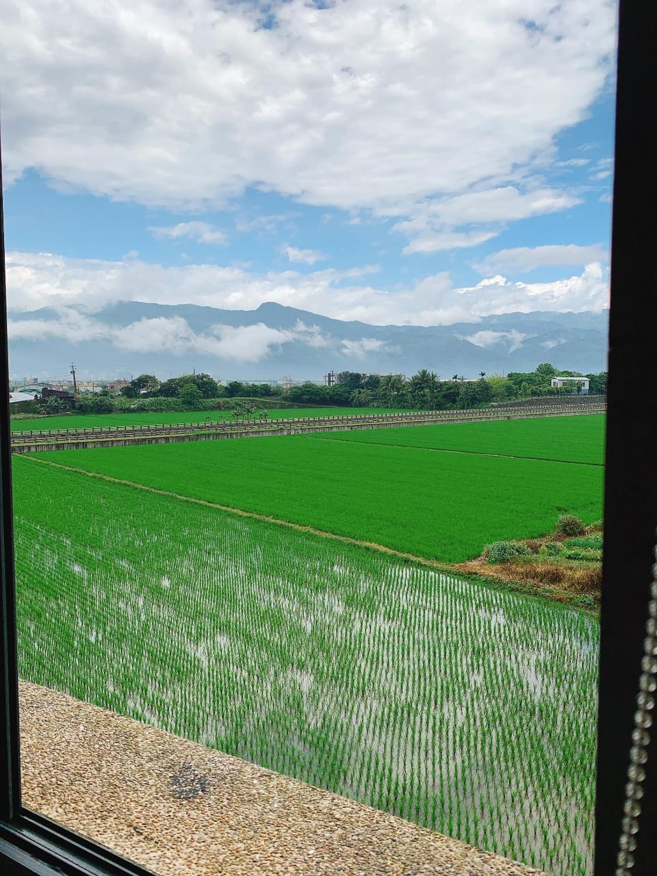 View (from property/room)